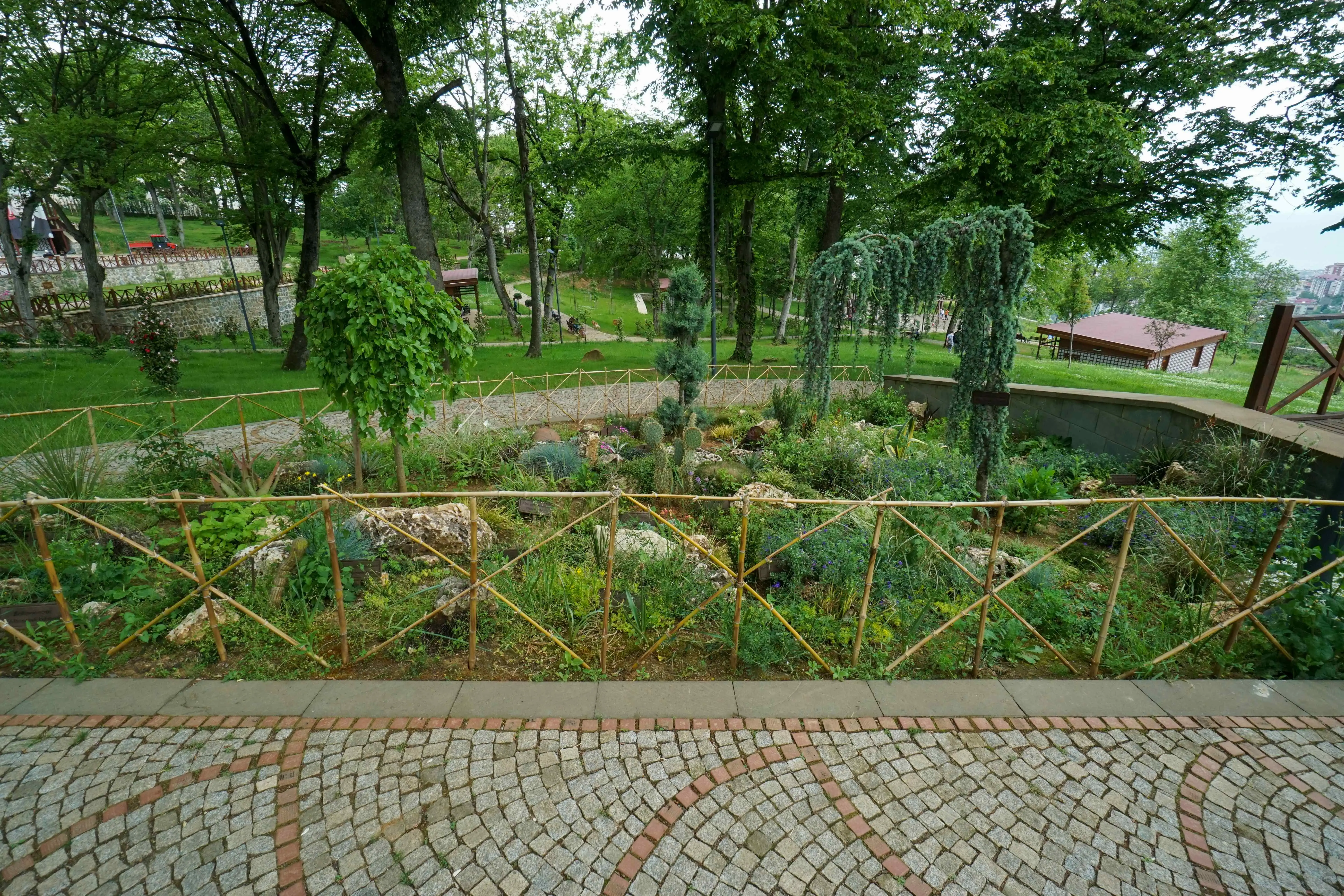 Botanik parki (1)
